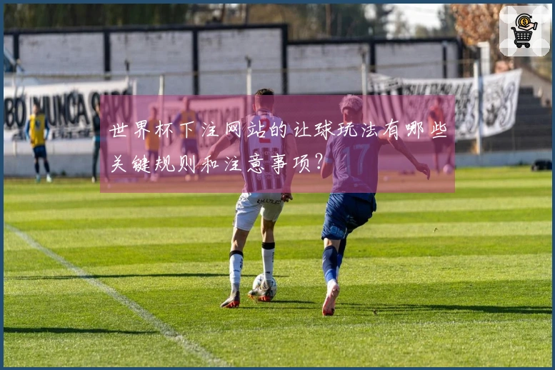 世界杯下注网站的让球玩法有哪些关键规则和注意事项？