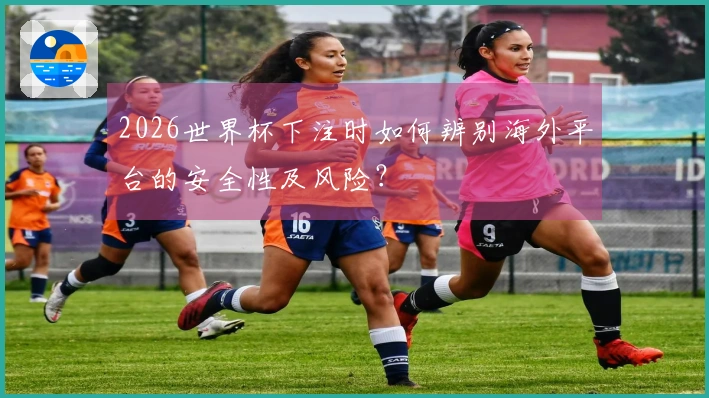 2026世界杯下注时如何辨别海外平台的安全性及风险?