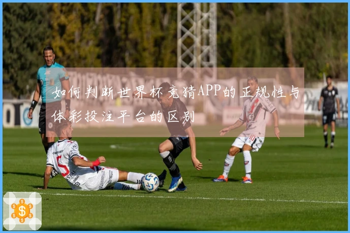 如何判断世界杯竞猜APP的正规性与体彩投注平台的区别