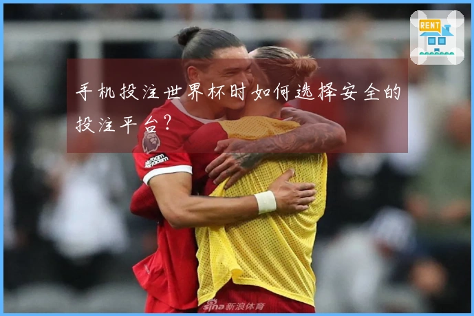 手机投注世界杯时如何选择安全的投注平台？