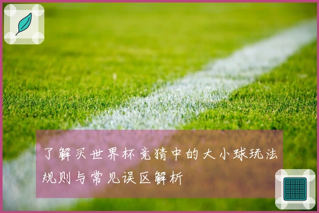 了解买世界杯竞猜中的大小球玩法规则与常见误区解析