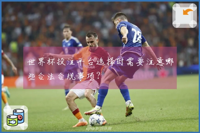 世界杯投注平台选择时需要注意哪些合法合规事项？