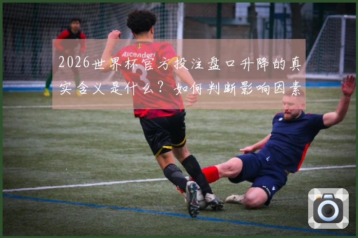 2026世界杯官方投注盘口升降的真实含义是什么？如何判断影响因素？