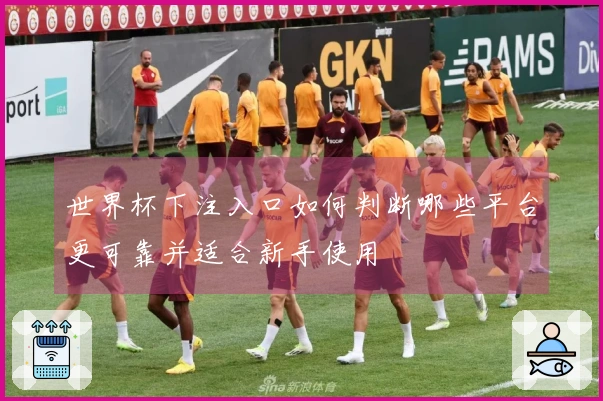 世界杯下注入口如何判断哪些平台更可靠并适合新手使用