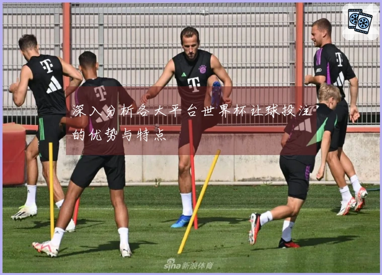 深入分析各大平台世界杯让球投注的优势与特点