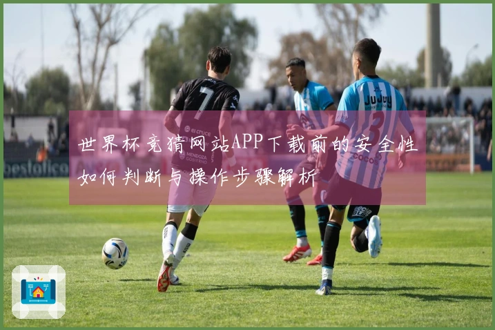 世界杯竞猜网站APP下载前的安全性如何判断与操作步骤解析