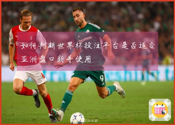 如何判断世界杯投注平台是否适合亚洲盘口新手使用