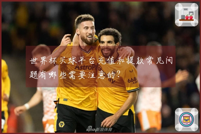 世界杯买球平台充值和提款常见问题有哪些需要注意的？