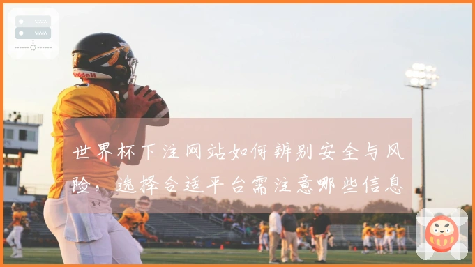 世界杯下注网站如何辨别安全与风险，选择合适平台需注意哪些信息
