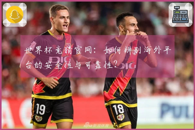 世界杯竞猜官网：如何辨别海外平台的安全性与可靠性？