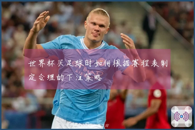 世界杯买足球时如何根据赛程表制定合理的下注策略