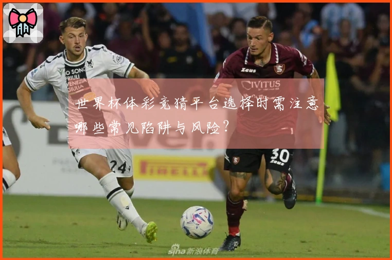 世界杯体彩竞猜平台选择时需注意哪些常见陷阱与风险？