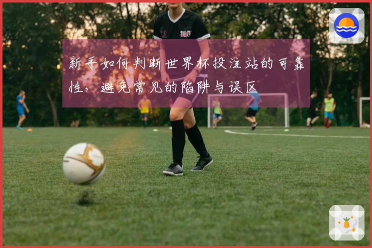 新手如何判断世界杯投注站的可靠性，避免常见的陷阱与误区