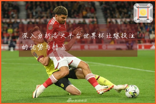 深入分析各大平台世界杯让球投注的优势与特点