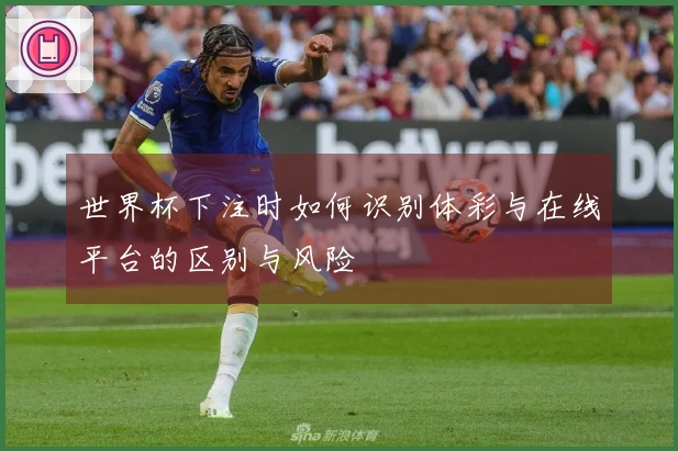 世界杯下注时如何识别体彩与在线平台的区别与风险