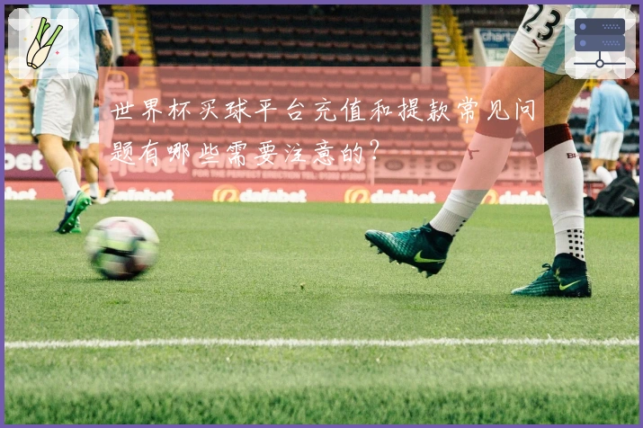 世界杯买球平台充值和提款常见问题有哪些需要注意的？